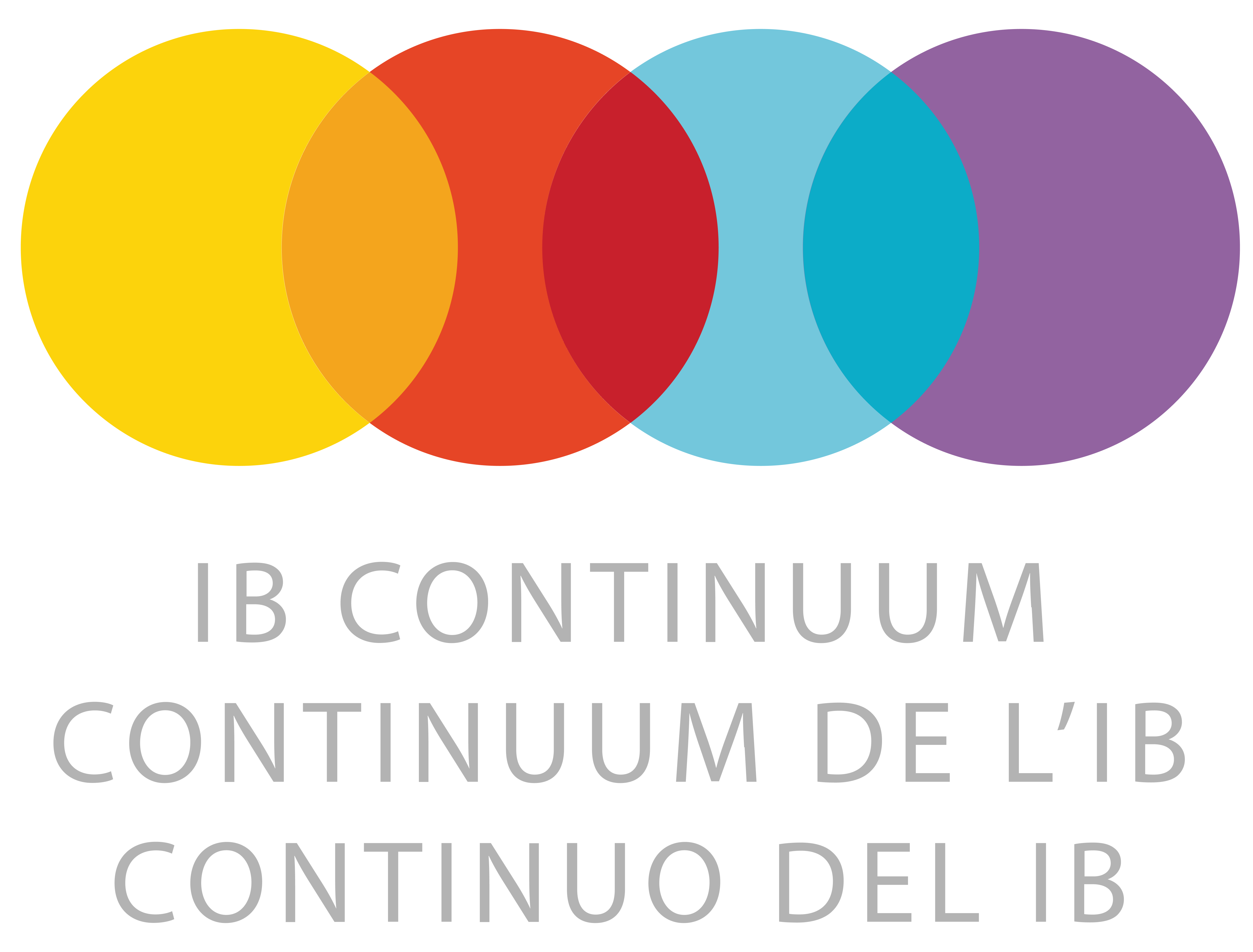 ib continuum logo