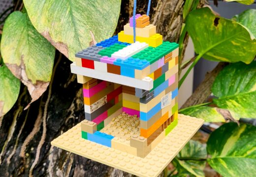DỰ ÁN VỀ ĐA DẠNG SINH HỌC CỦA HỌC SINH LỚP 6
